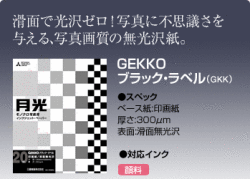�ڴ�����GEKKO �֥�å���٥롡A3+(329mmX483mm)��(20������)